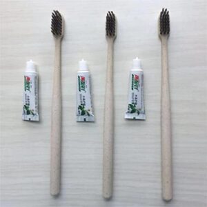 Cepillos de dientes, 20 Cepillo Dientes Sostenibles y Desechables, Biodegradables, Veganos