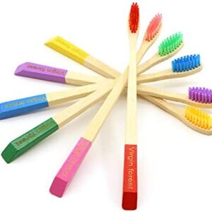 Cepillo de dientes de bambú, cepillo de dientes de colores, cepillo de dientes ecológico y