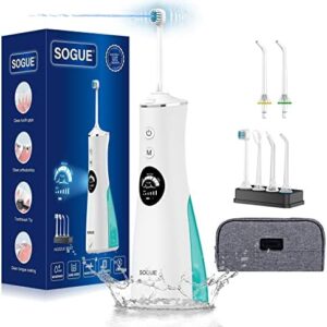 Irrigadores Bucales Portatil - Irrigador Dental con 6 Boquillas DIY Modos, IPX7