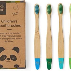 Wild & Stone | Cepillo de dientes de bambú orgánico para niños | Quattro Colori di Acqua |