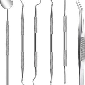 Kit de Dentista Para Eliminar el Sarro 6 Piezas, Dental Cuidado Kit Diente Relleno